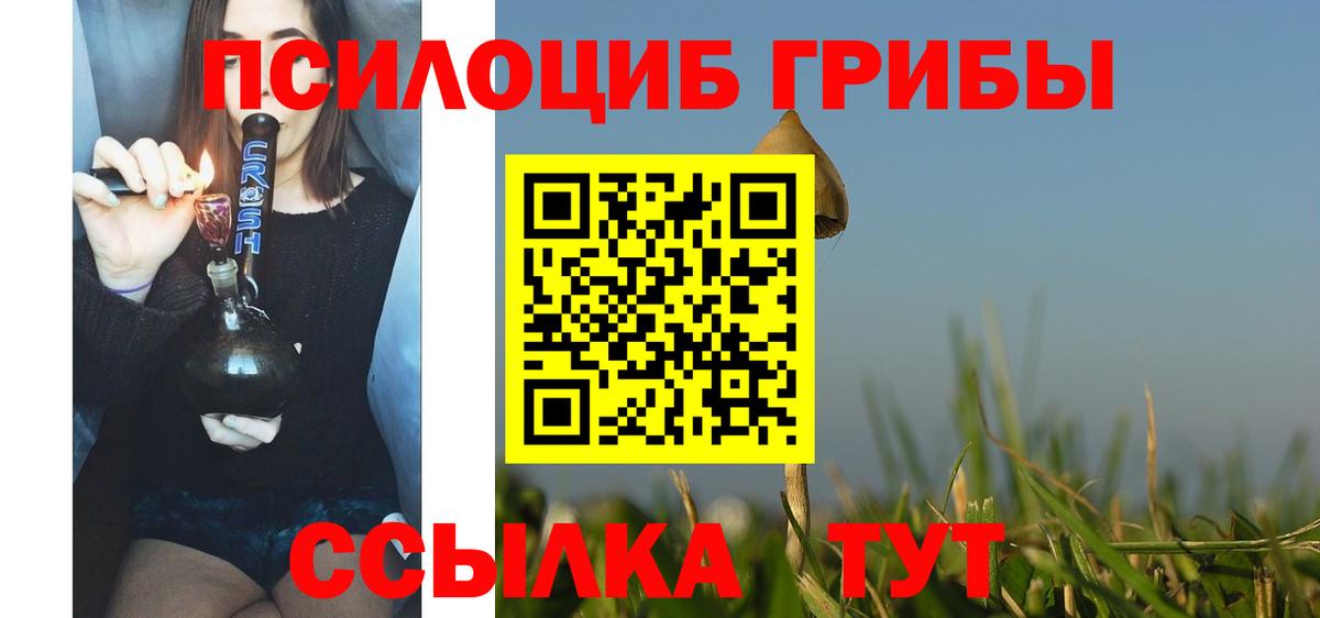 Галлюциногенные грибы прущие грибы  Вход с VPN  Калининград 