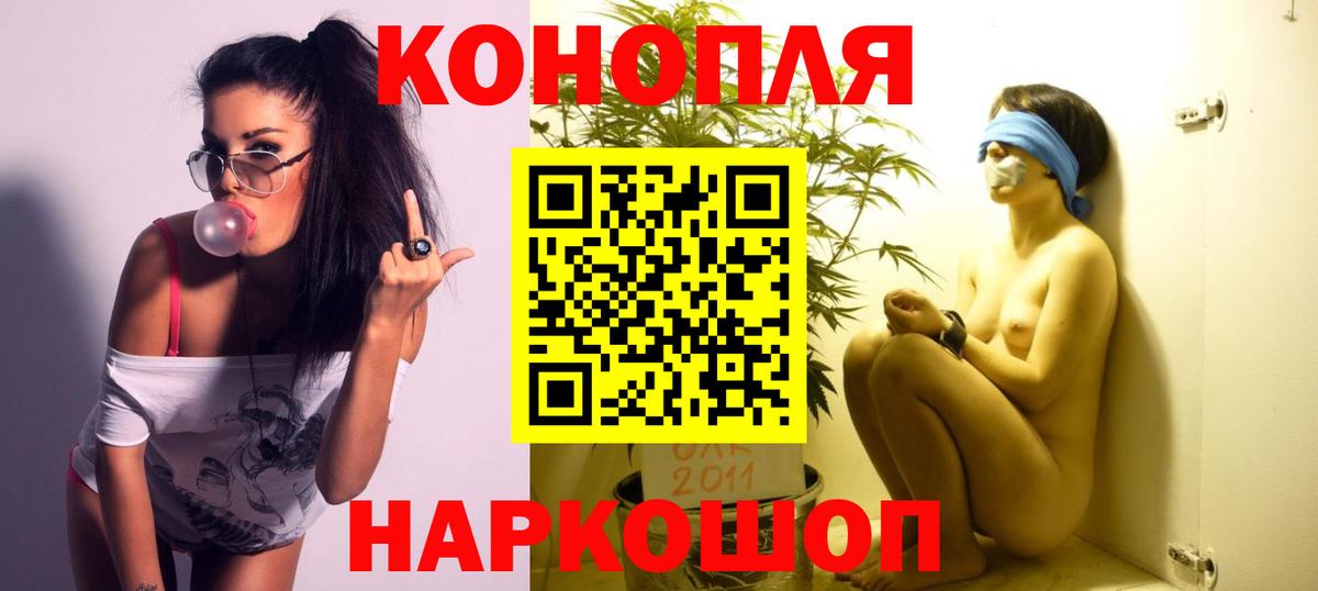Конопля гибрид Калининград