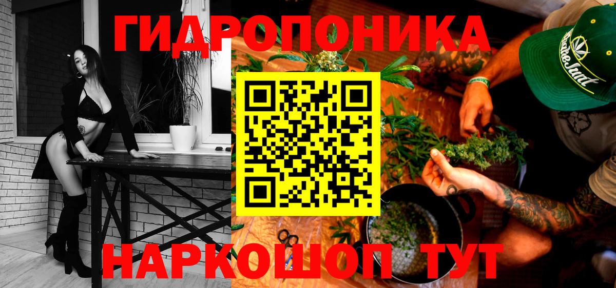 Каннабис планчик  Бошки Шишки LSD WEED  Бошки марихуана сатива  Калининград  Вход с VPN 